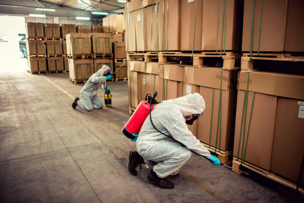 Best Affordable Pest Control Services  in Lonoke, AR