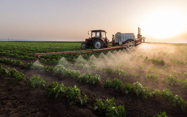 Best Local Pest Control Services  in Lonoke, AR