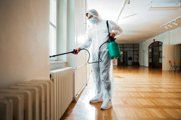 Best Local Pest Control Services  in Lonoke, AR