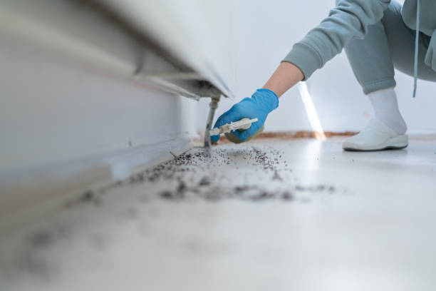 Best Mosquito Control Services  in Lonoke, AR